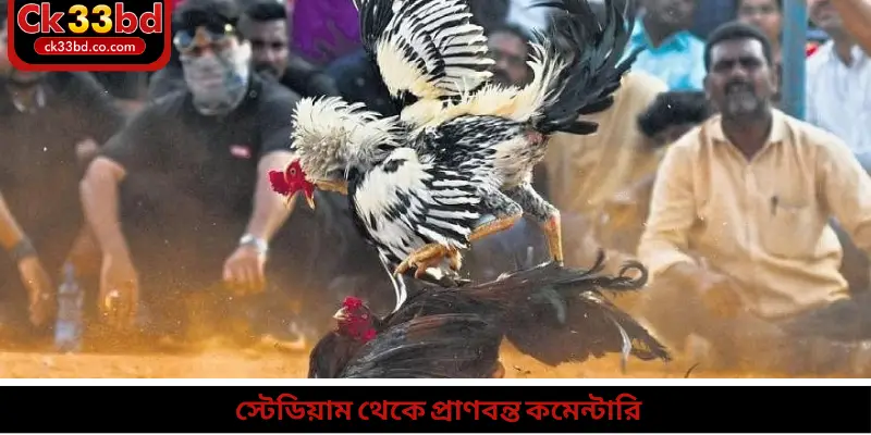 স্টেডিয়াম থেকে প্রাণবন্ত কমেন্টারি